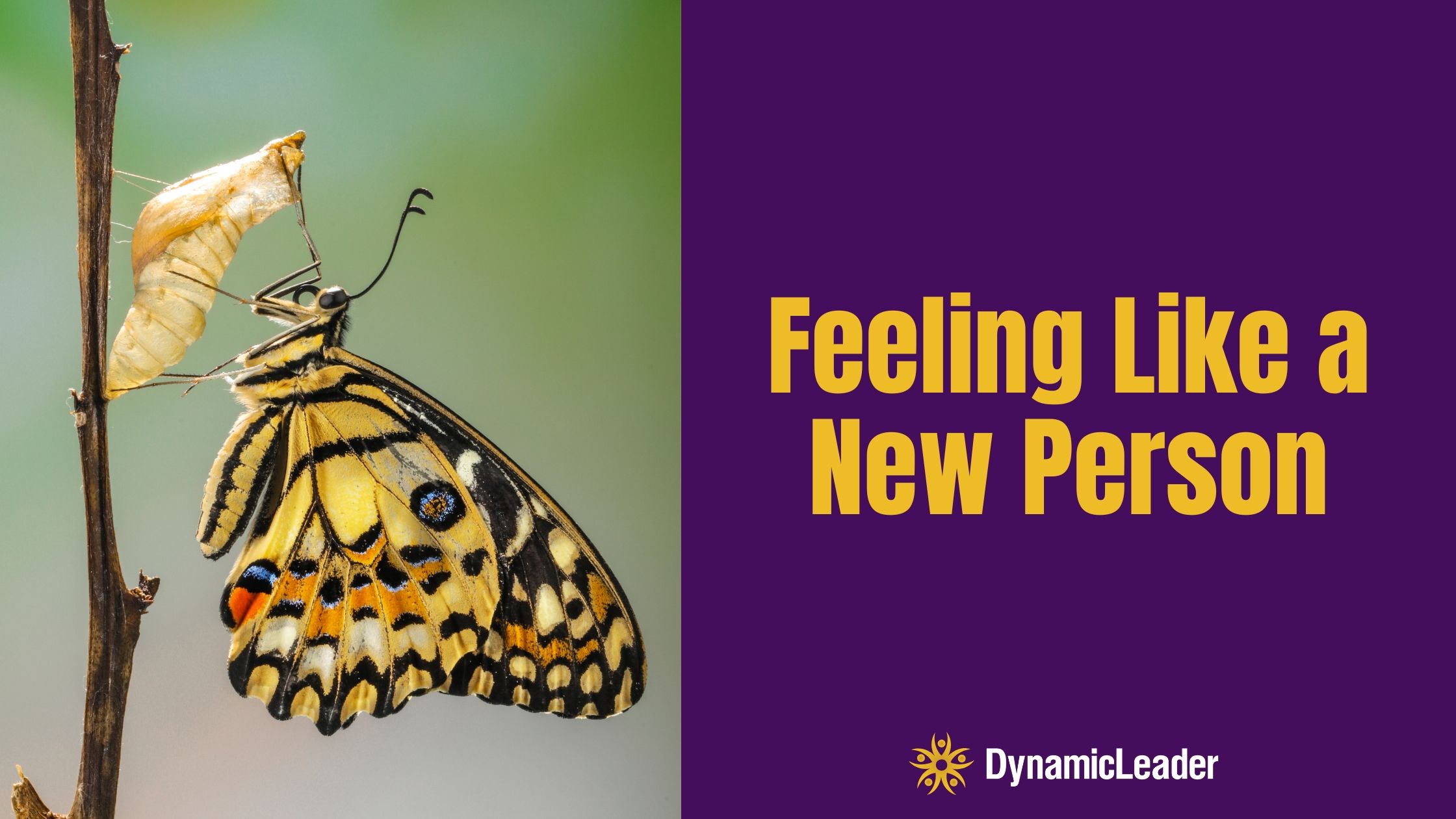 Feeling Like A New Person — Wednesdays with Wayne note by Dr. Wayne Pernell