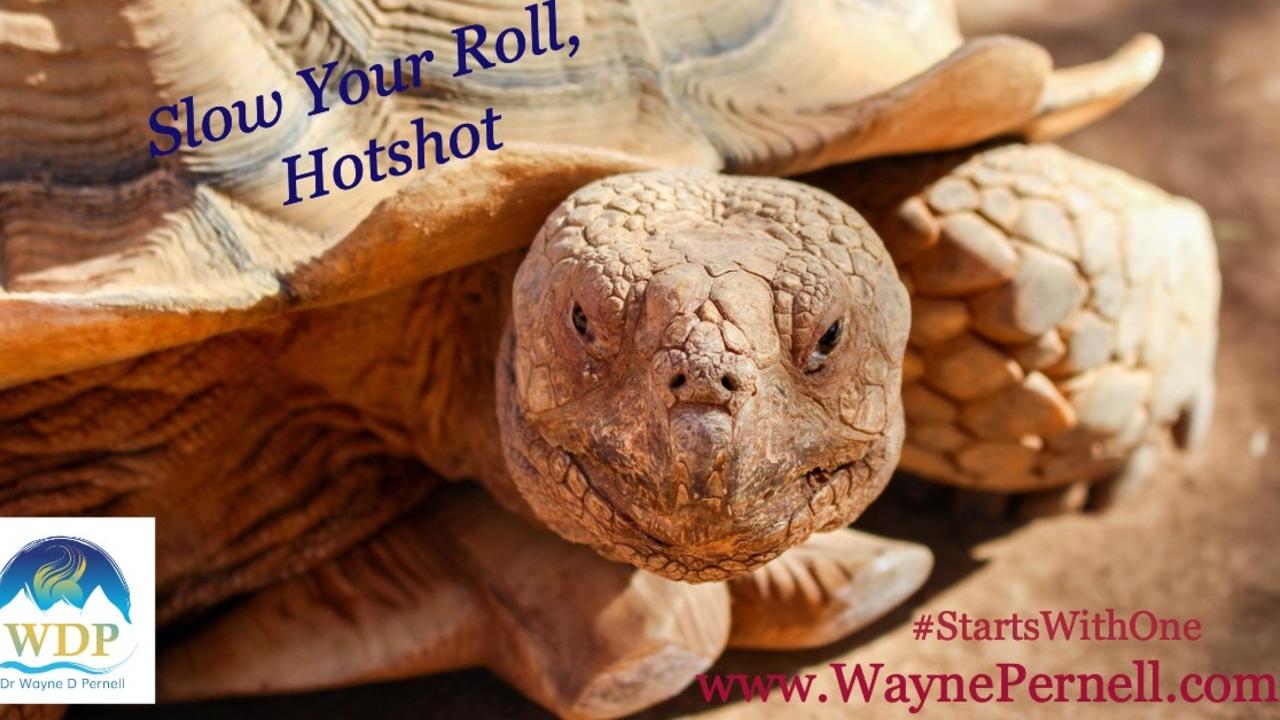 Unusual Advice: Slow It Down — Wednesdays with Wayne note by Dr. Wayne Pernell