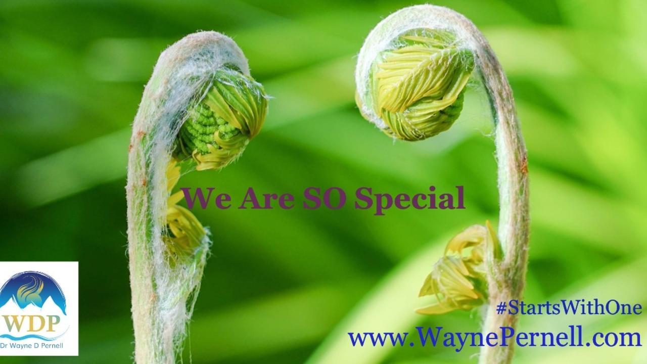 We're Special — Wednesdays with Wayne note by Dr. Wayne Pernell