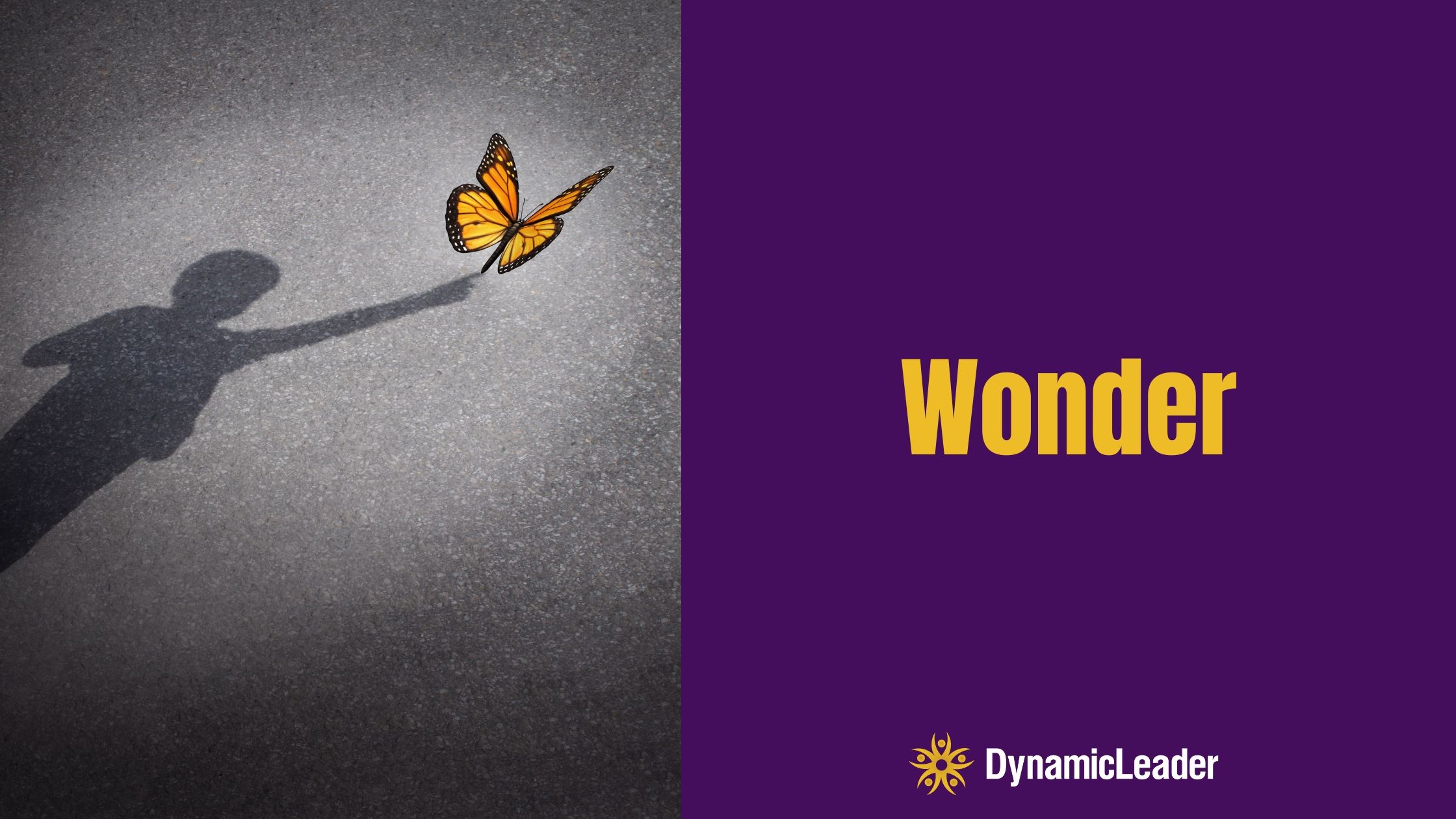 Wonder — Wednesdays with Wayne note by Dr. Wayne Pernell