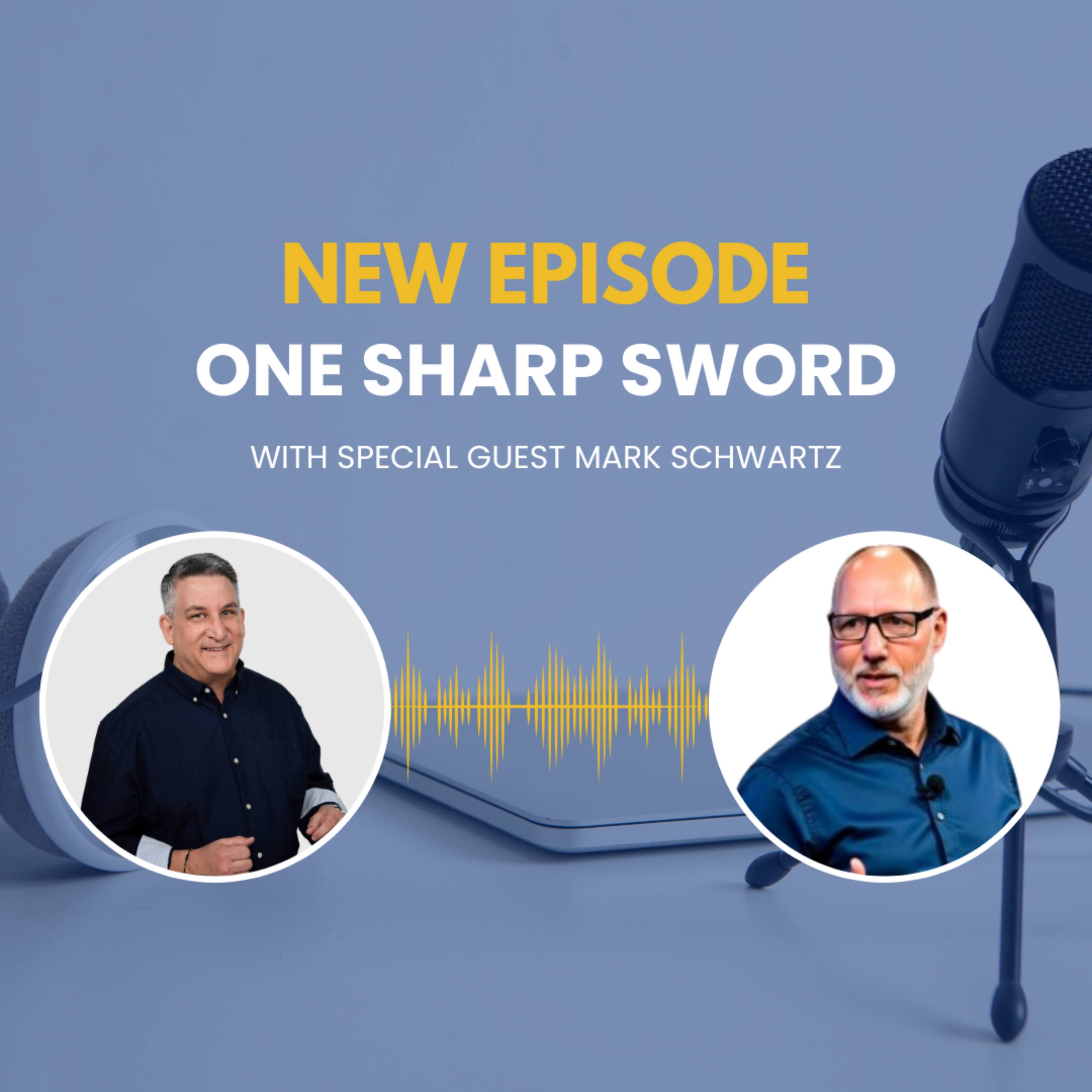 Interview with Mark Schwartz episode art